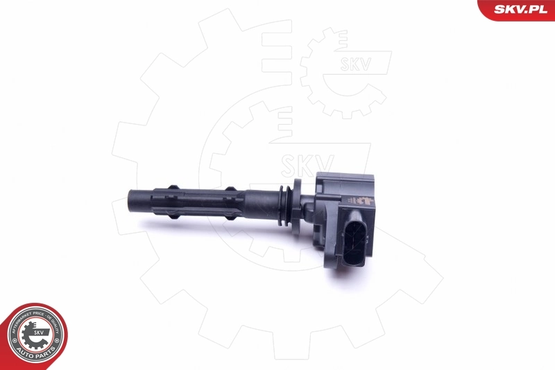 Ignition Coil 03SKV255