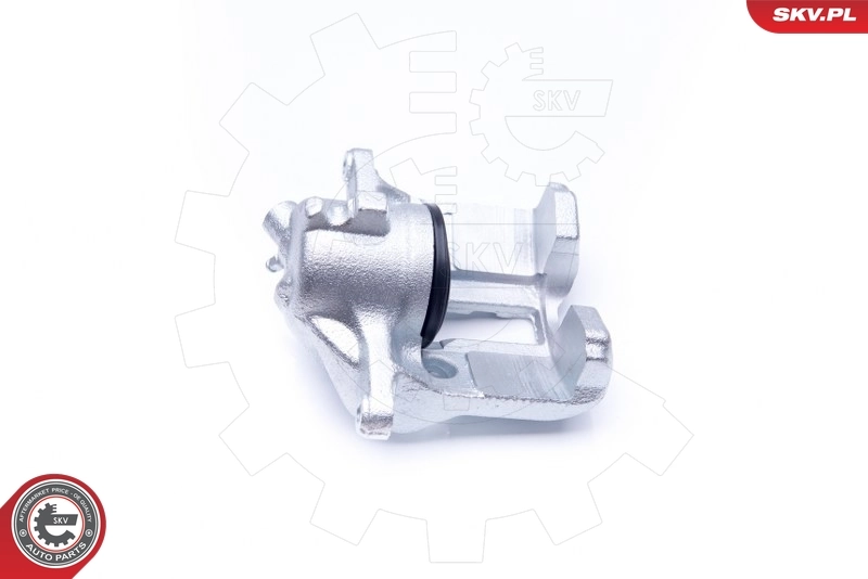 Brake Caliper 42SKV762