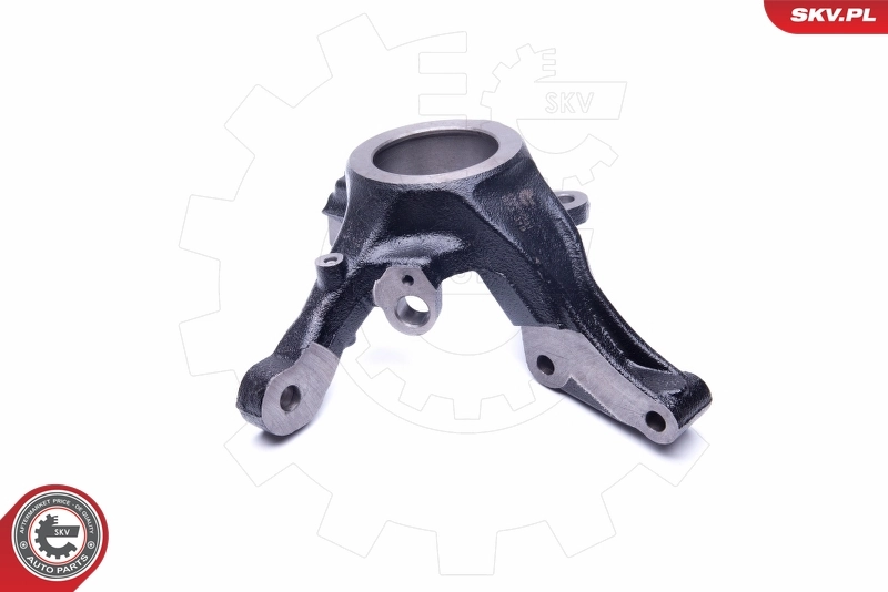 Steering Knuckle, wheel suspension 47SKV231