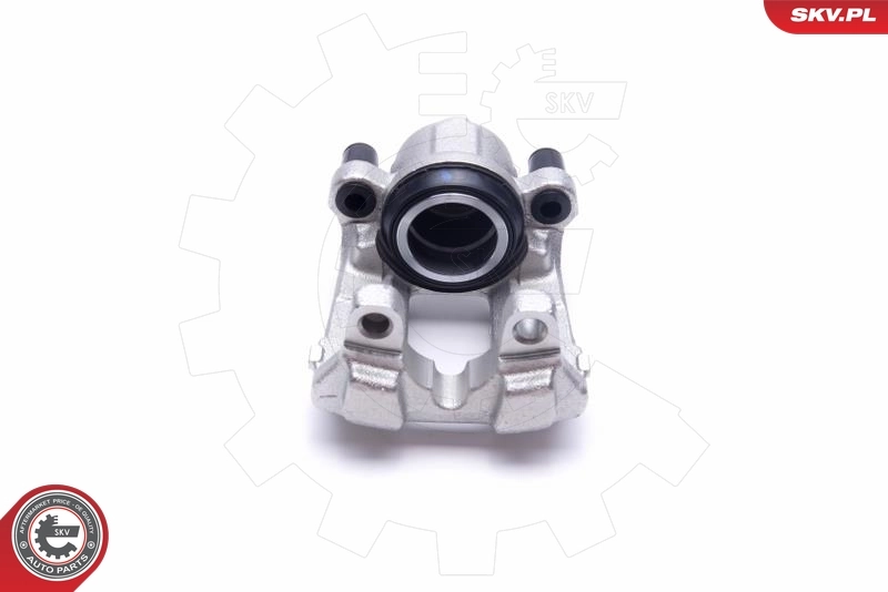 Brake Caliper 55SKV992