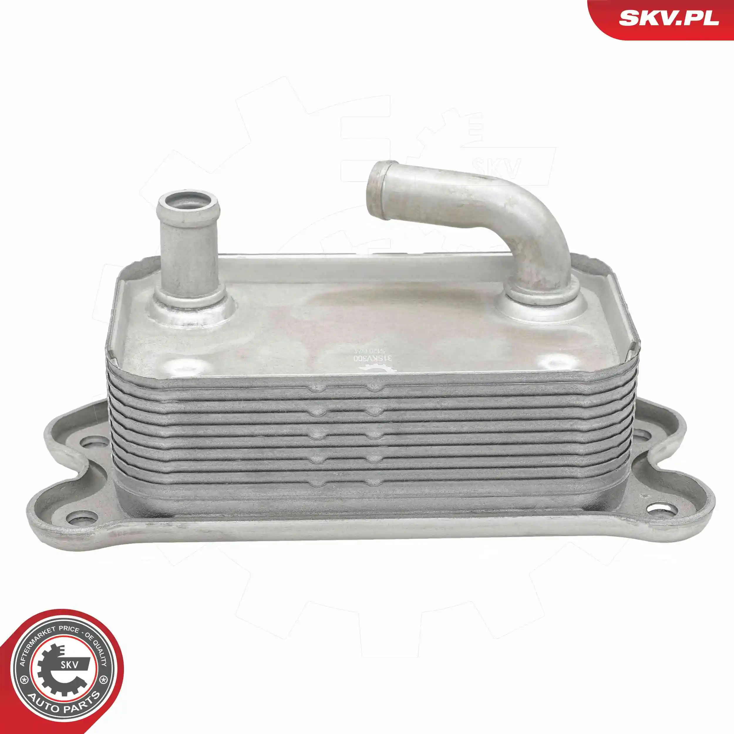 Oil Cooler, engine oil 31SKV300