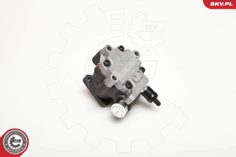 Hydraulic Pump, steering 10SKV095