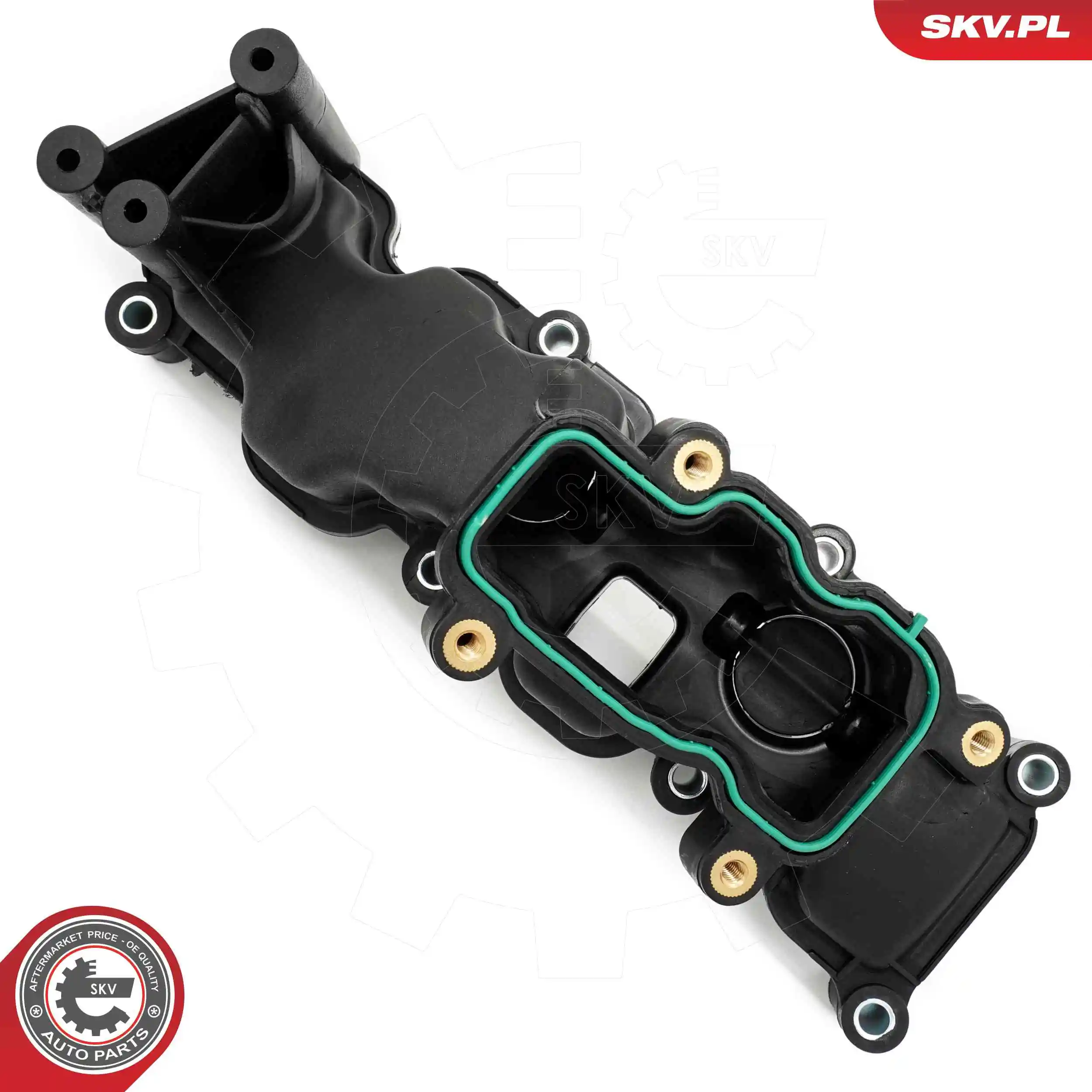 Intake Manifold Module 49SKV084