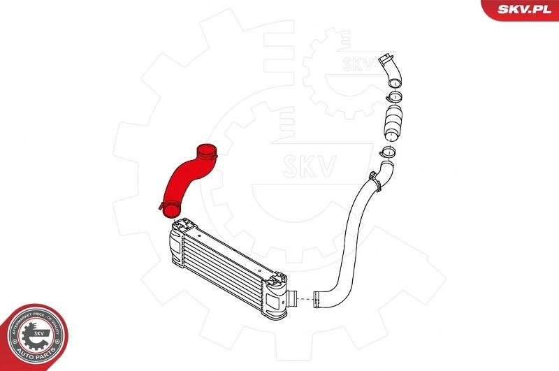Charge Air Hose 24SKV919