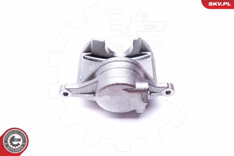 Brake Caliper 45SKV702