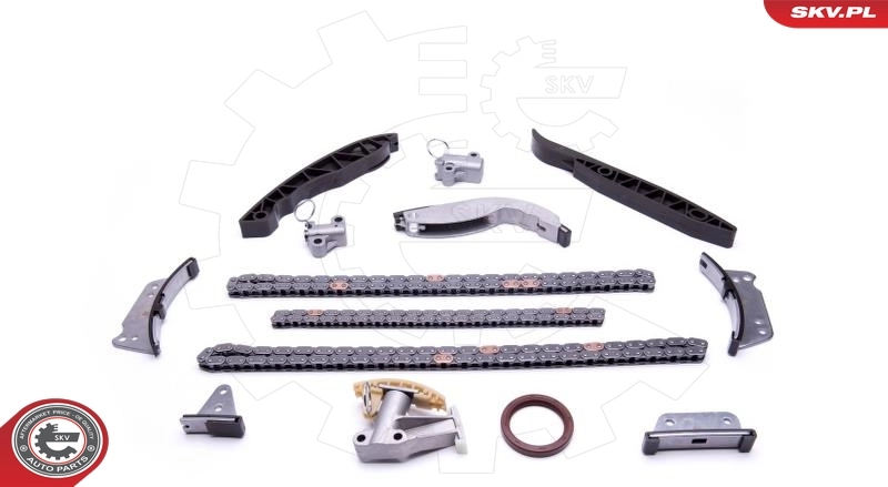 Timing Chain Kit 21SKV223