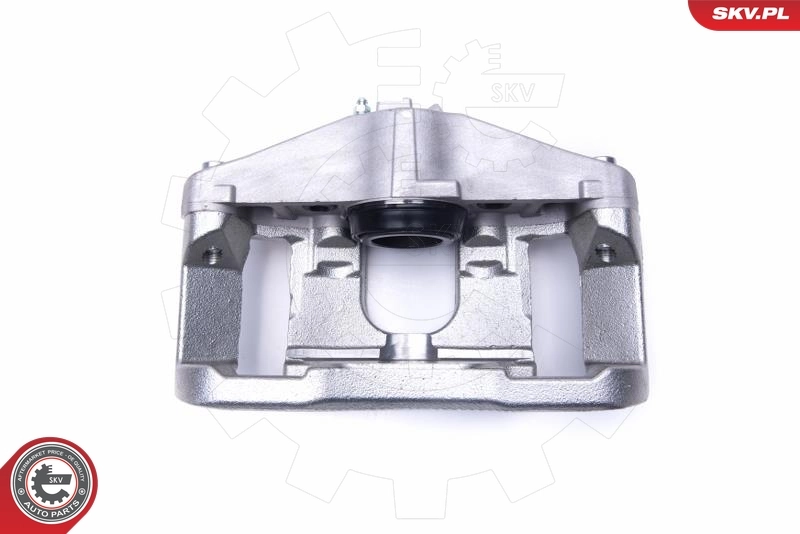 Brake Caliper 55SKV621