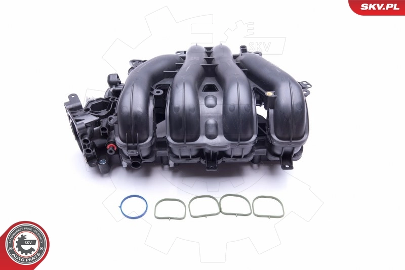 Intake Manifold Module 49SKV027