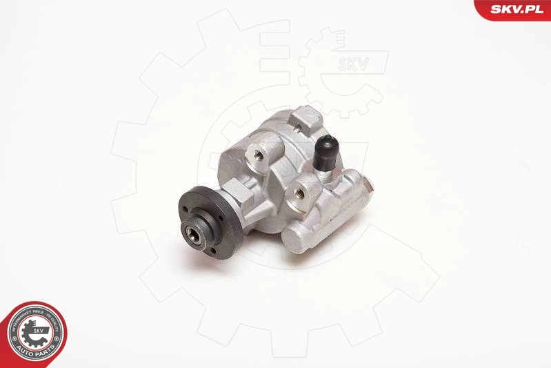 Hydraulic Pump, steering 10SKV054
