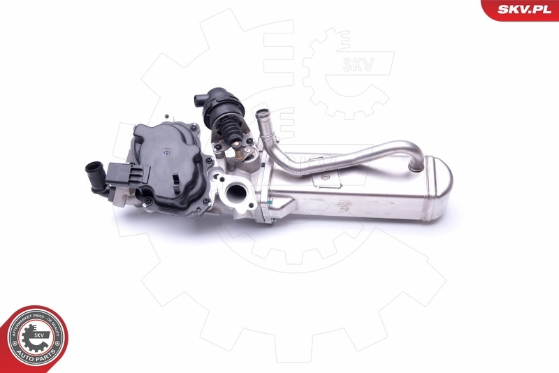 EGR Valve 14SKV158