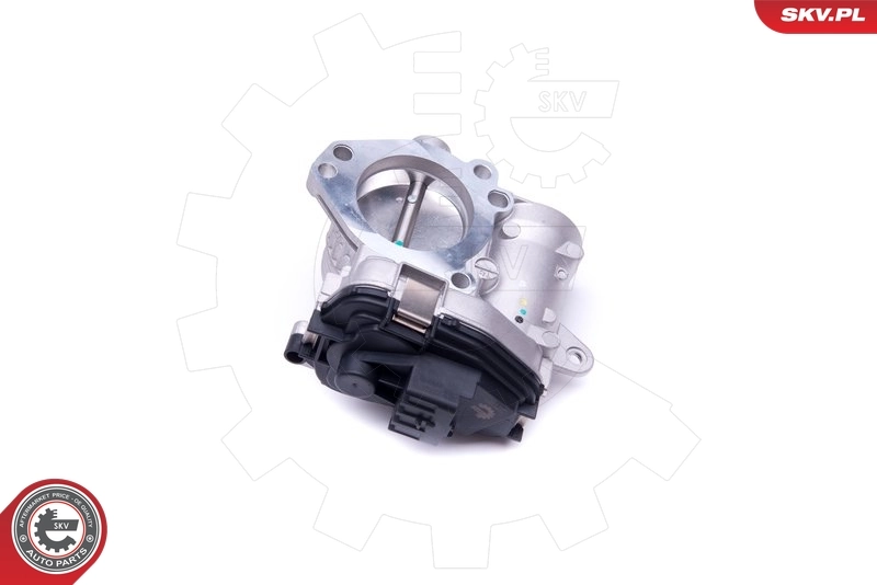 Throttle Body 12SKV073