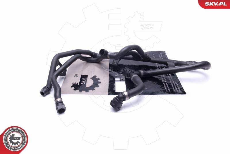 Coolant Pipe 54SKV173