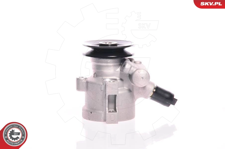 Hydraulic Pump, steering 10SKV118