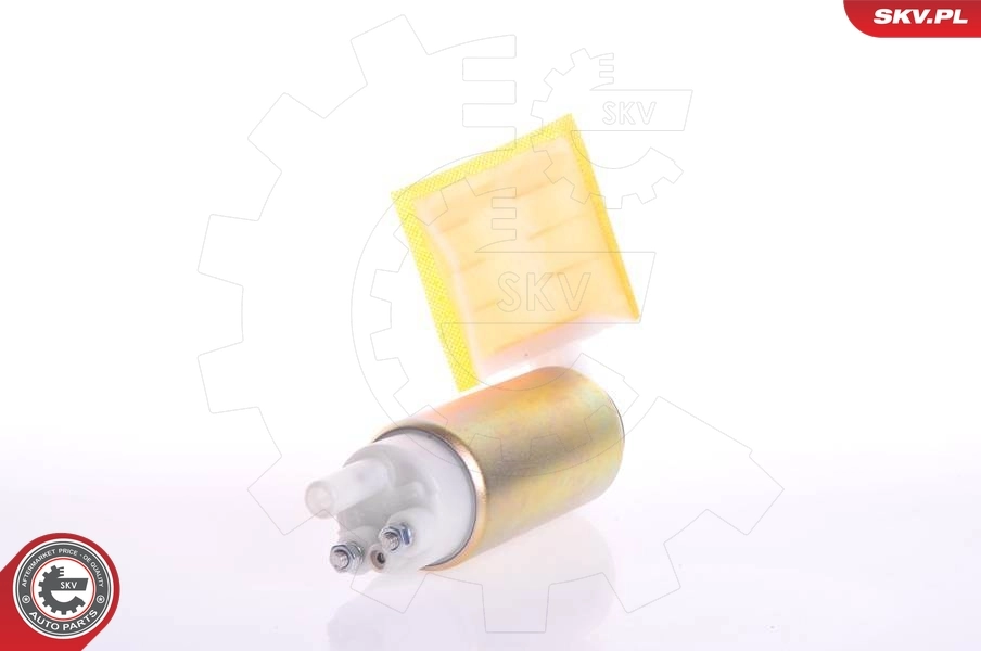 Fuel Pump 02SKV260