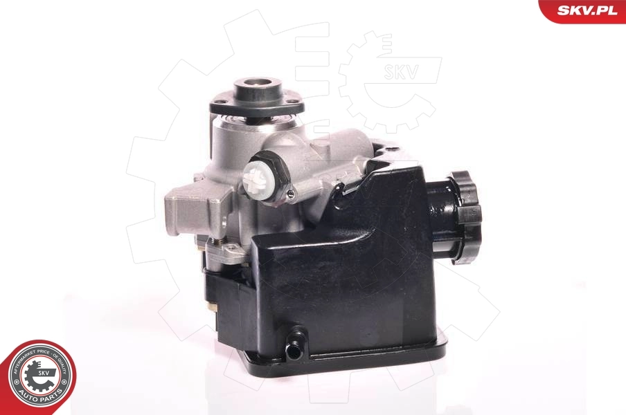 Hydraulic Pump, steering 10SKV162