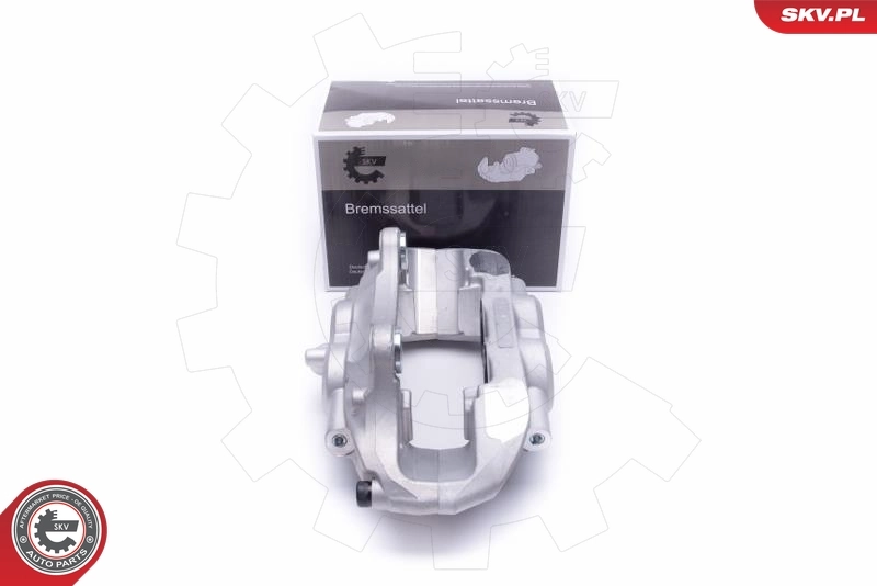 Brake Caliper 55SKV901
