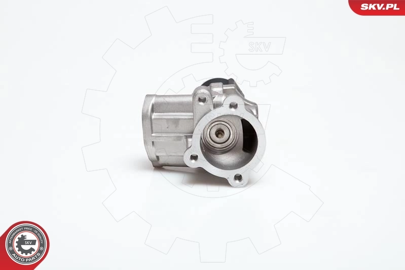 EGR Valve 14SKV040