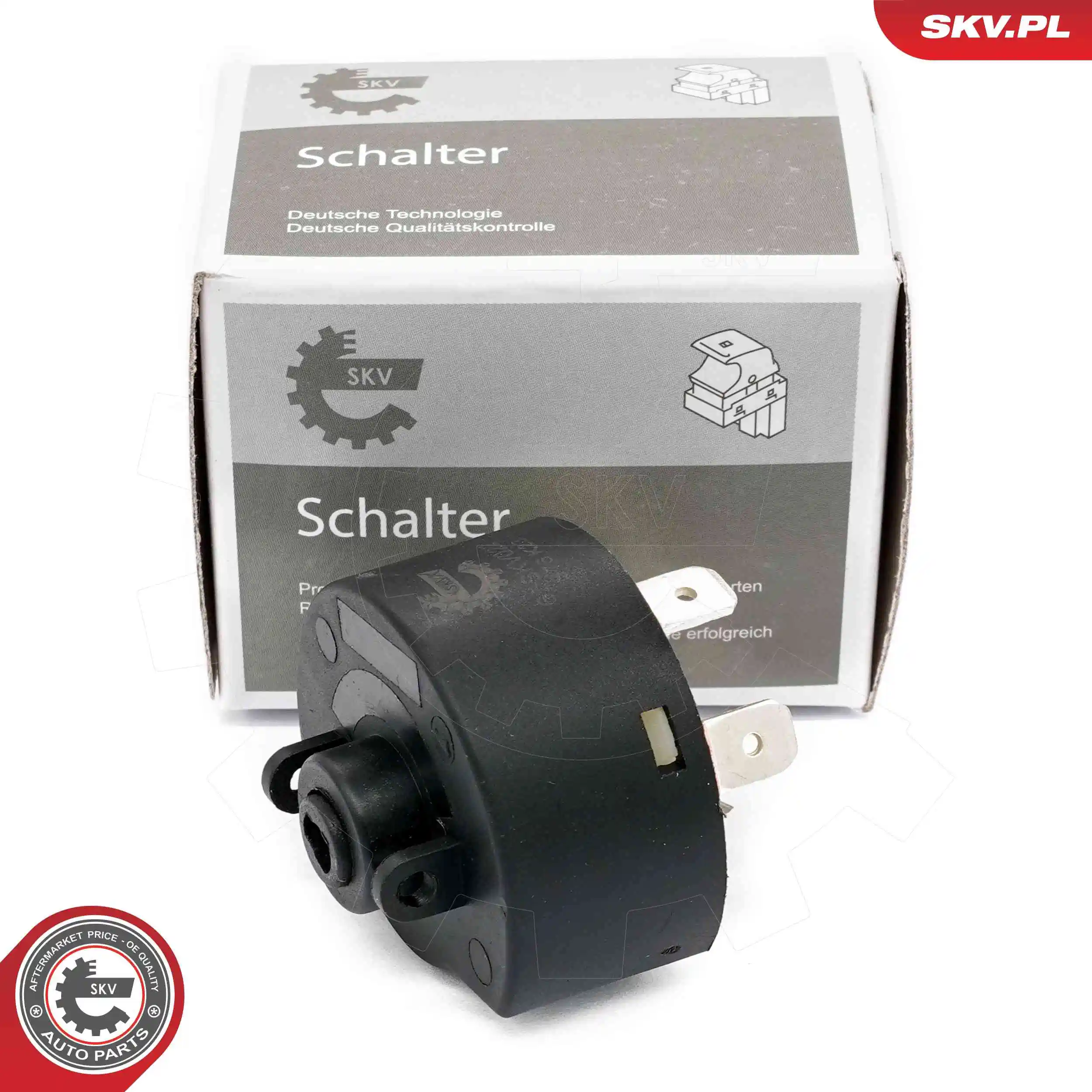 Ignition Switch 65SKV022