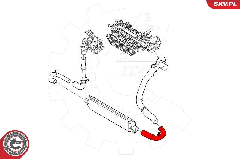 Charge Air Hose 43SKV229