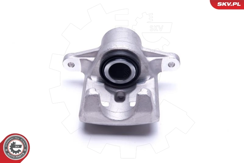 Brake Caliper 55SKV454