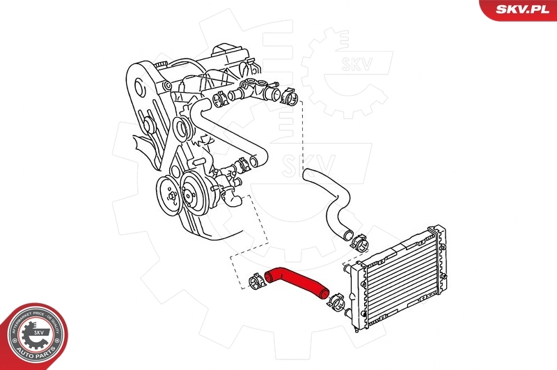 ESEN SKV 43SKV704 Radiator Hose