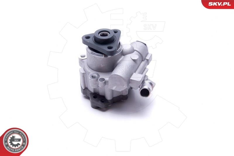 Hydraulic Pump, steering 10SKV305