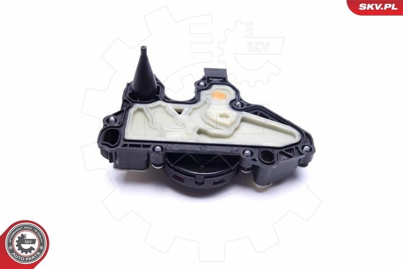 Oil Cooler, engine oil 31SKV175