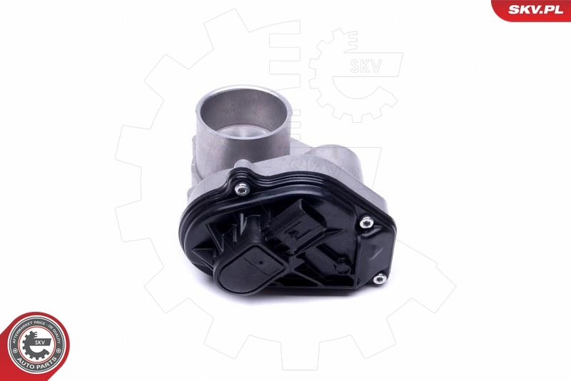 Throttle Body 12SKV092