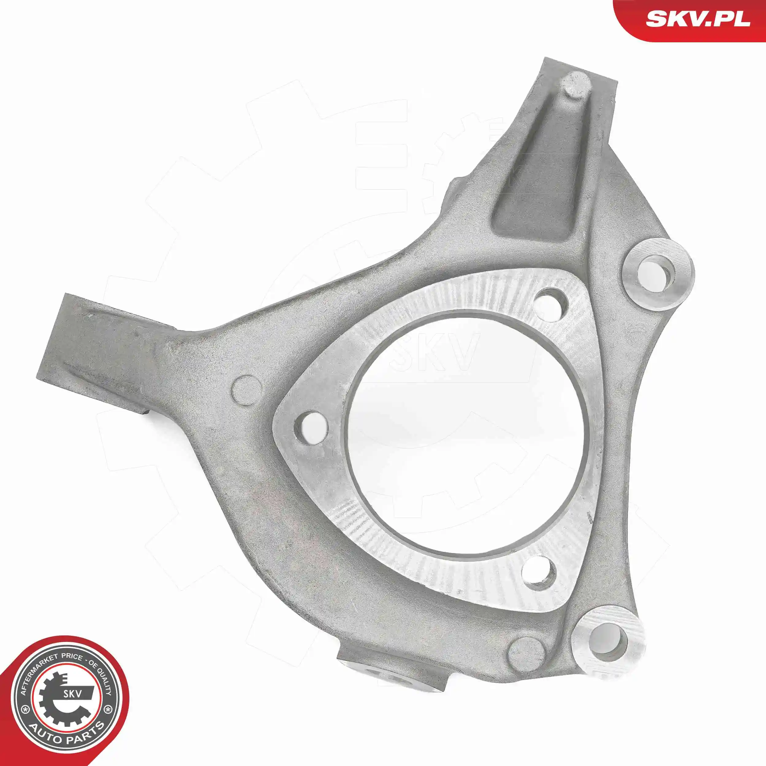 Steering Knuckle, wheel suspension 73SKV072