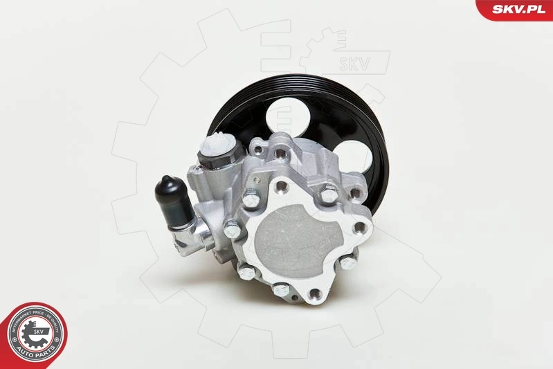 ESEN SKV 10SKV009 Hydraulic Pump, steering