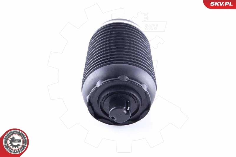 Air Spring, suspension 58SKV031