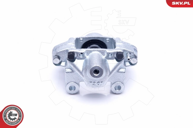 Brake Caliper 45SKV483