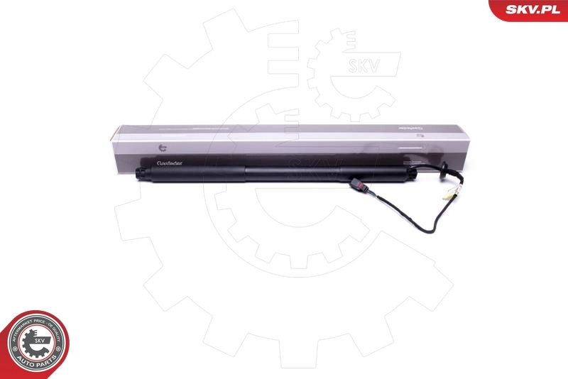 Electric Motor, tailgate 52SKV940