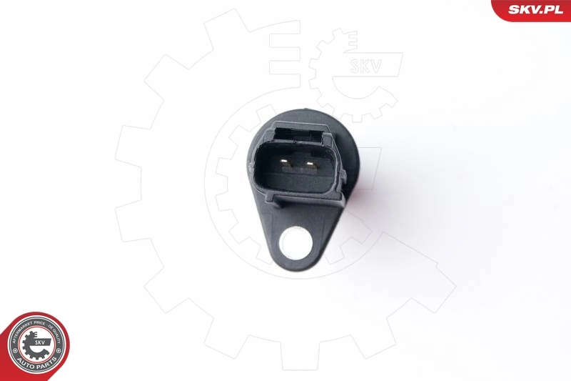 Sensor, camshaft position 17SKV253