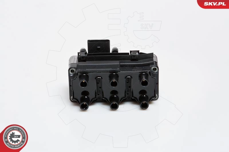 ESEN SKV 03SKV160 Ignition Coil