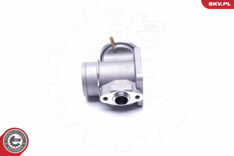EGR Valve 14SKV174