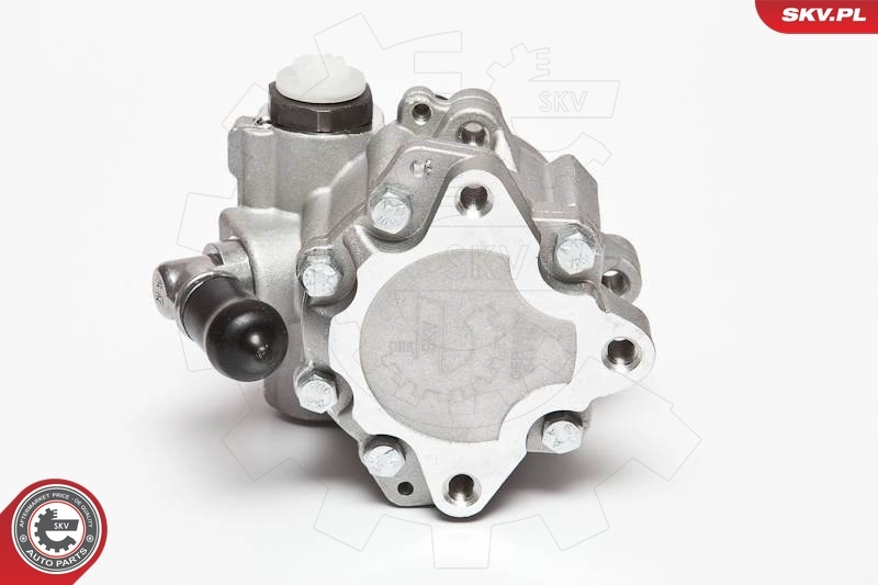 Hydraulic Pump, steering 10SKV072