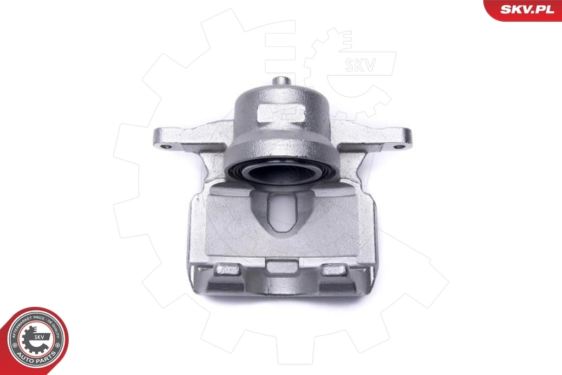 Brake Caliper 44SKV531