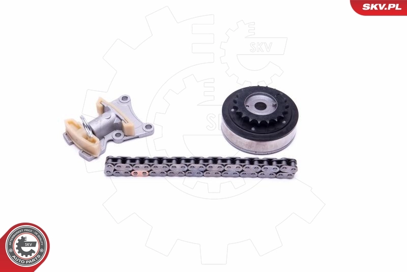 Timing Chain Kit 21SKV115