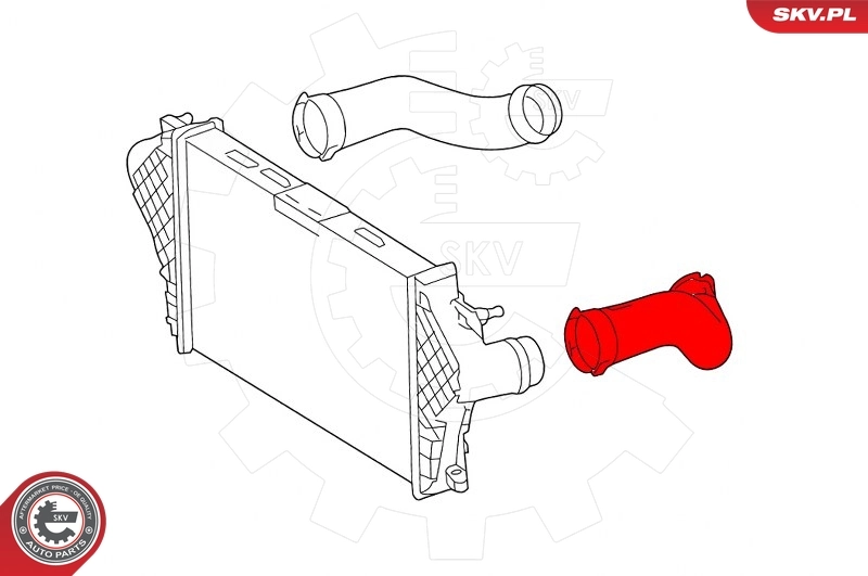 Charge Air Hose 43SKV405