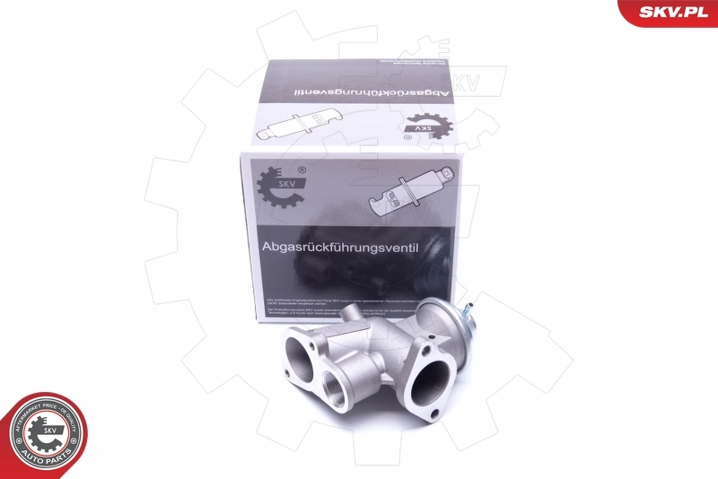 EGR Valve 14SKV180