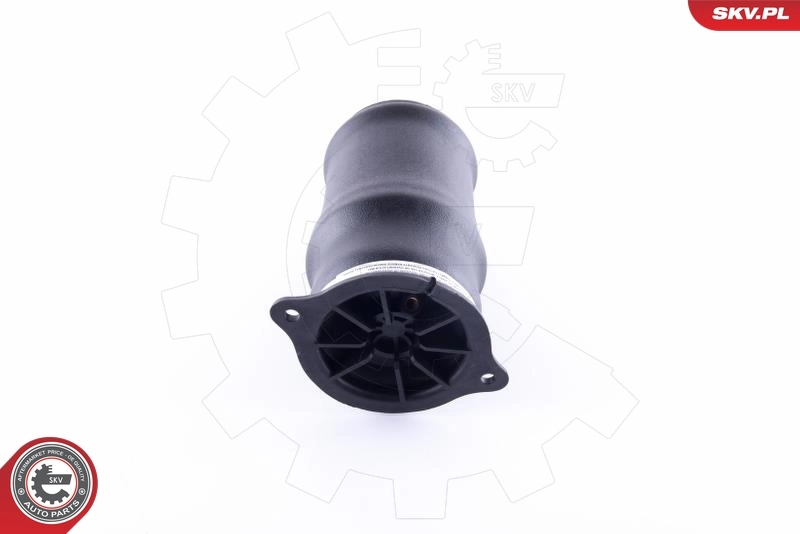 Air Spring, suspension 58SKV014