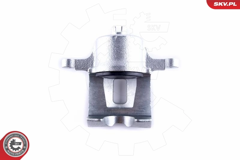 Brake Caliper 50SKV882