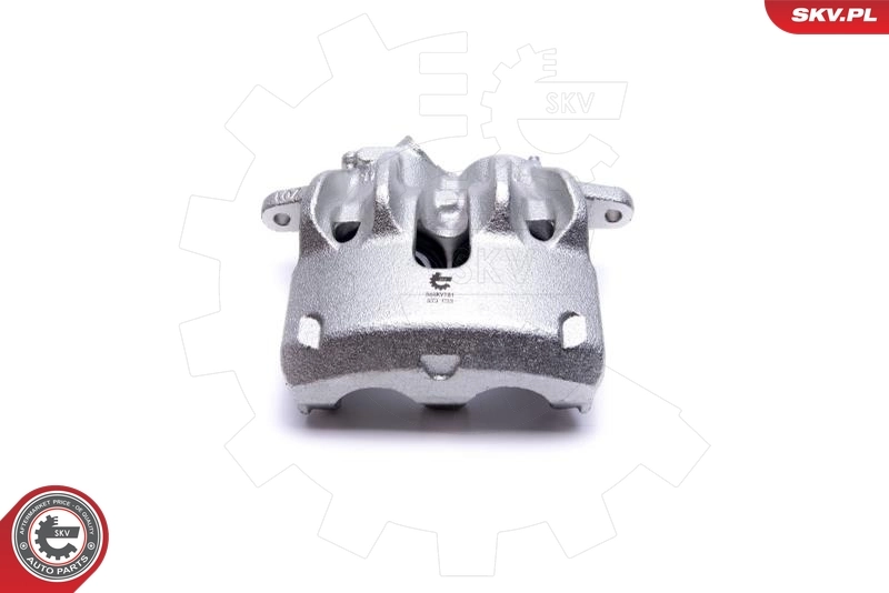 Brake Caliper 56SKV181