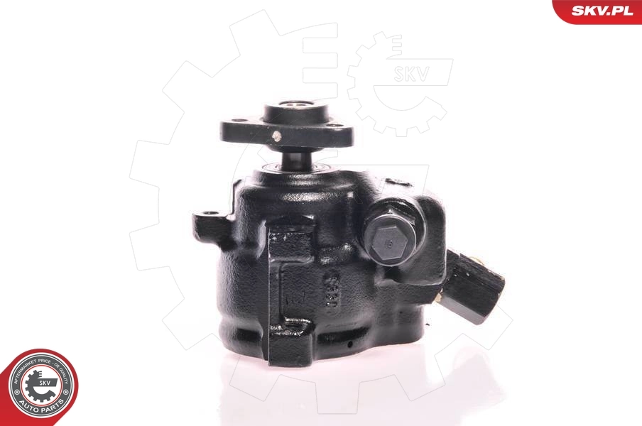 Hydraulic Pump, steering 10SKV137