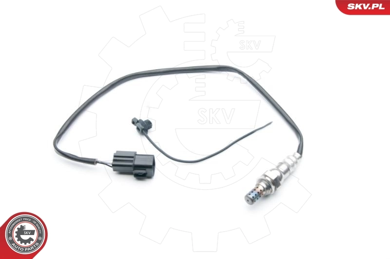Oxygen Sensor 09SKV733