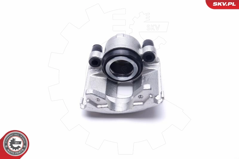Brake Caliper 55SKV822