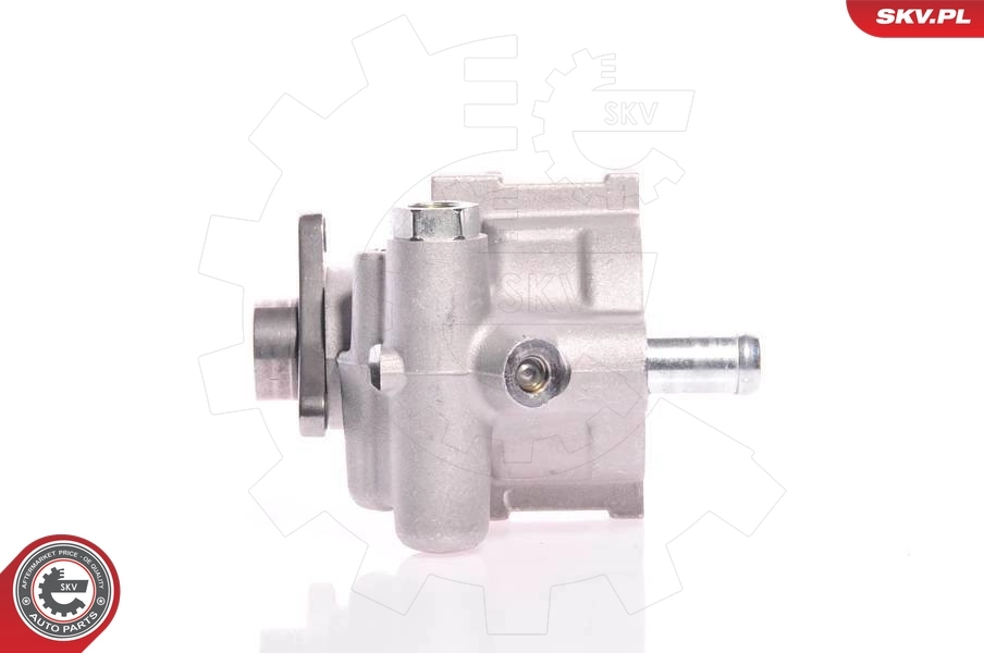 Hydraulic Pump, steering 10SKV021