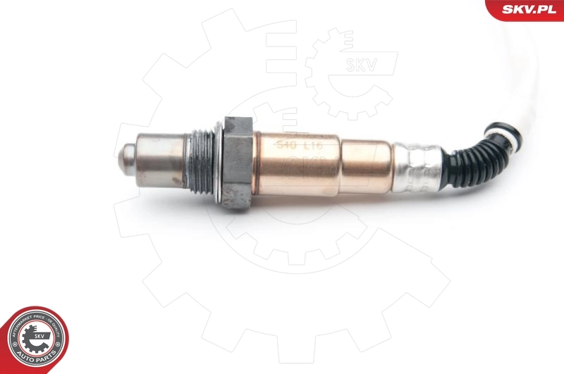 Oxygen Sensor 09SKV648