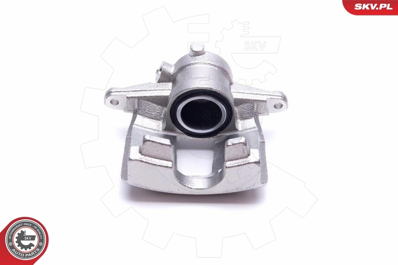 Brake Caliper 50SKV083